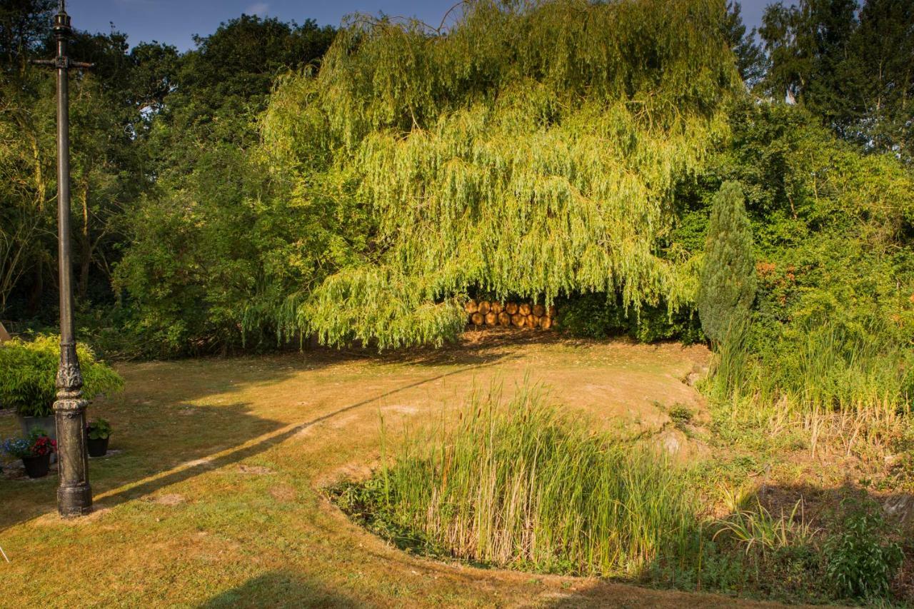 Blyth Lodge B&B Halesworth Luaran gambar